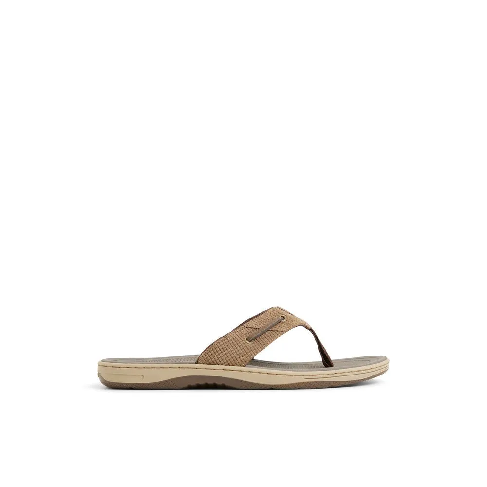 Baitfish Thong Sandals