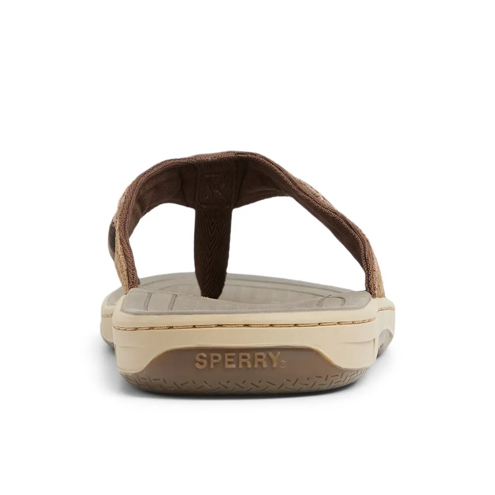 Baitfish Thong Sandals