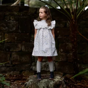 lucinda dress - cornflower confetti floral