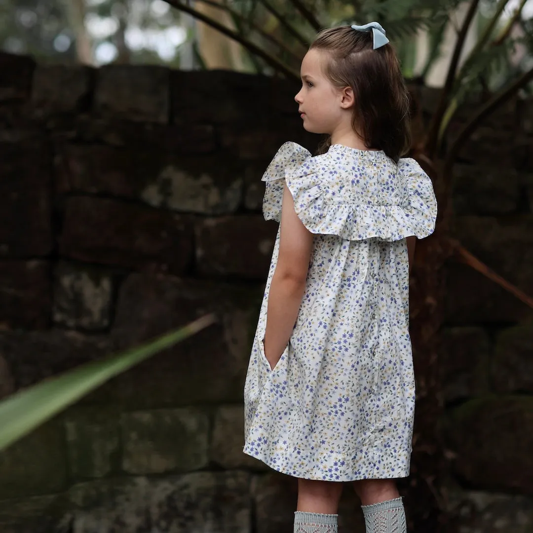 lucinda dress - cornflower confetti floral